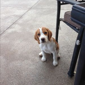 Meet your Posher, Mallory